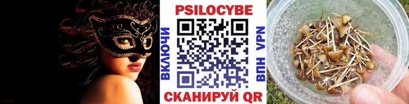 Галлюциногенные грибы Psilocybe  дарнет шоп  Новый Уренгой 