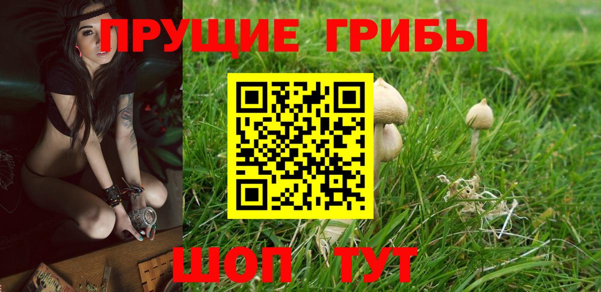 Псилоцибиновые грибы Cubensis  Вход с VPN  Новый Уренгой 